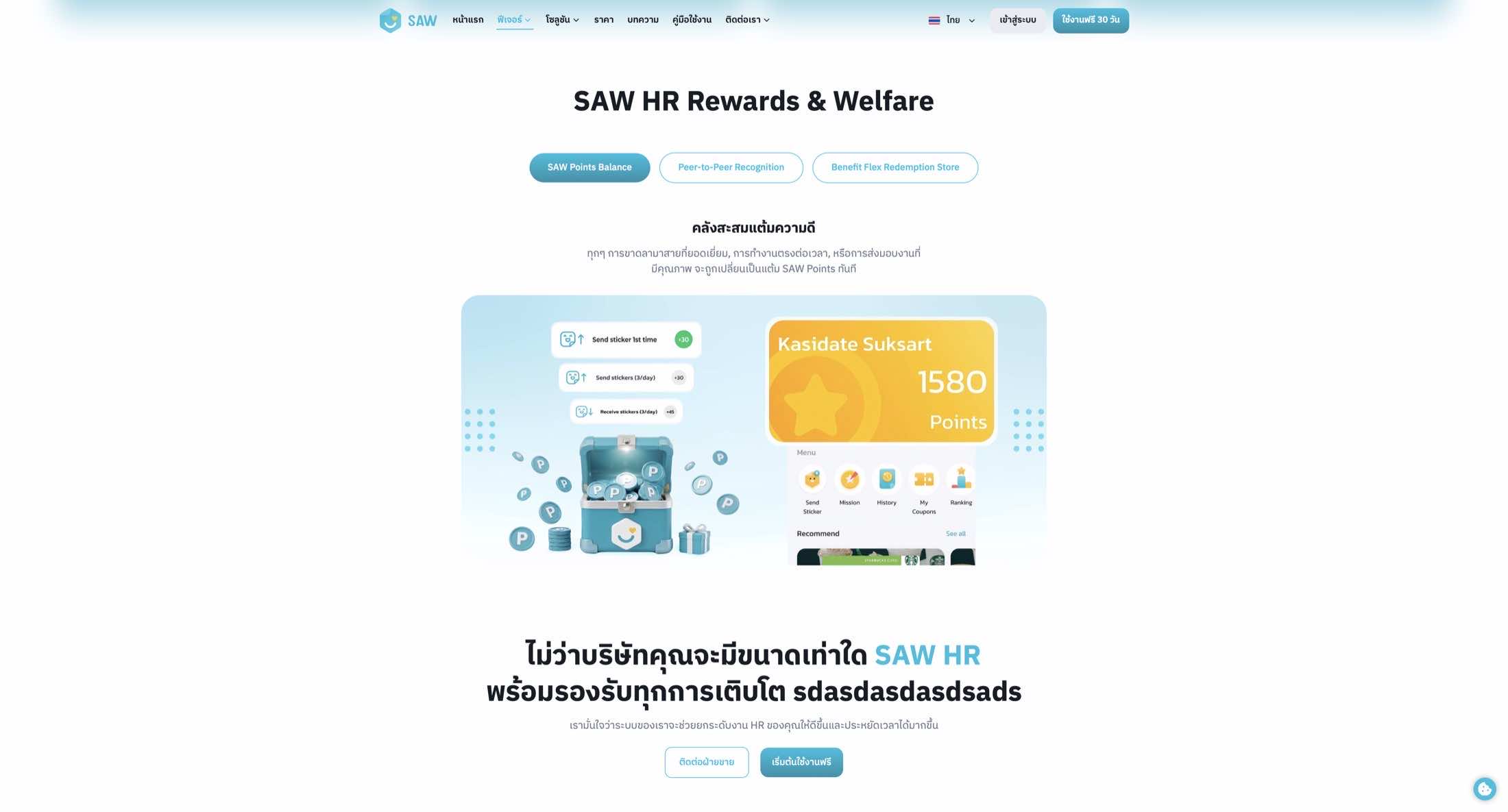 SAW HR — Website Conversion & Product Communication — 3