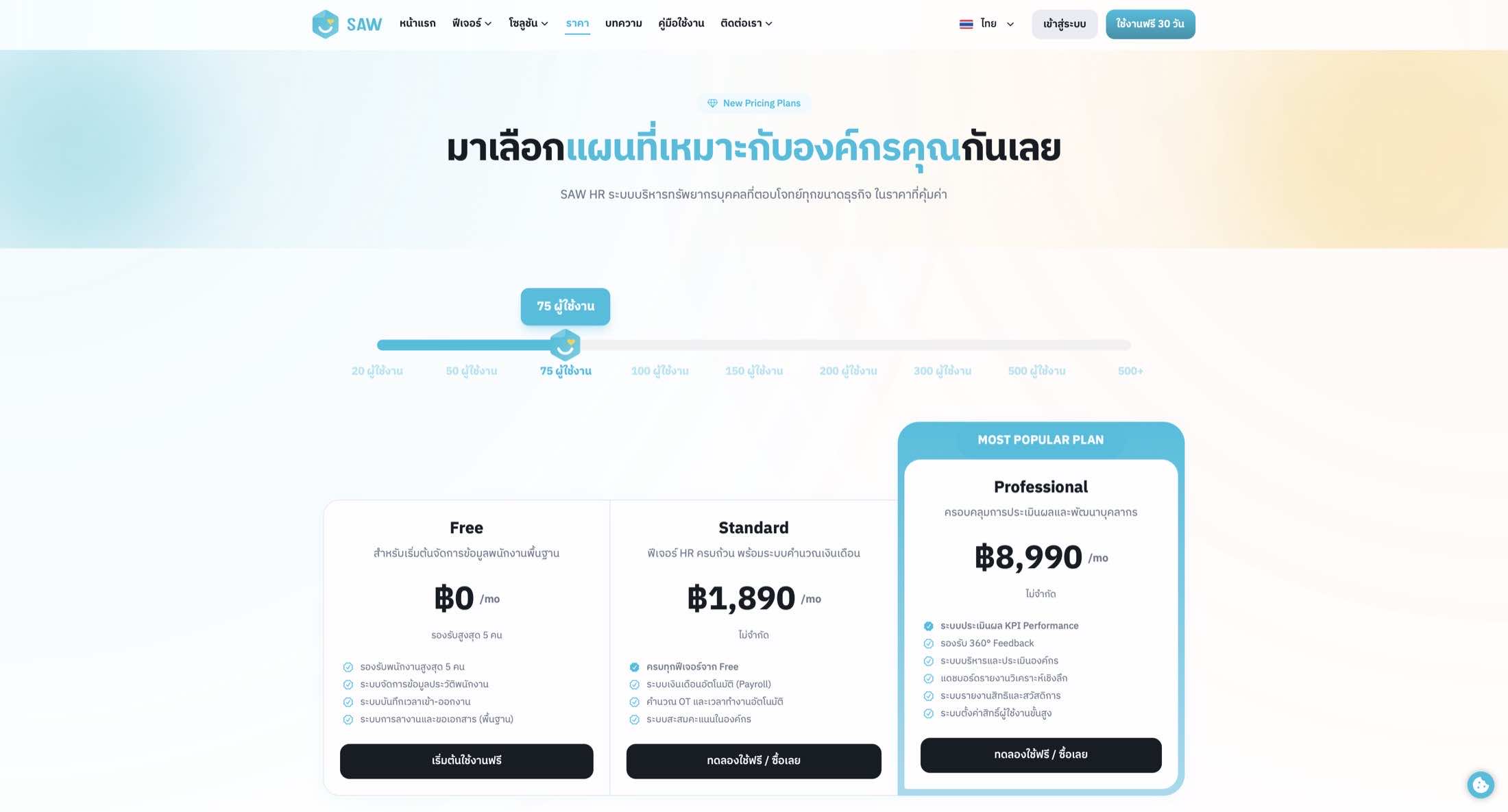 SAW HR — Website Conversion & Product Communication — 13