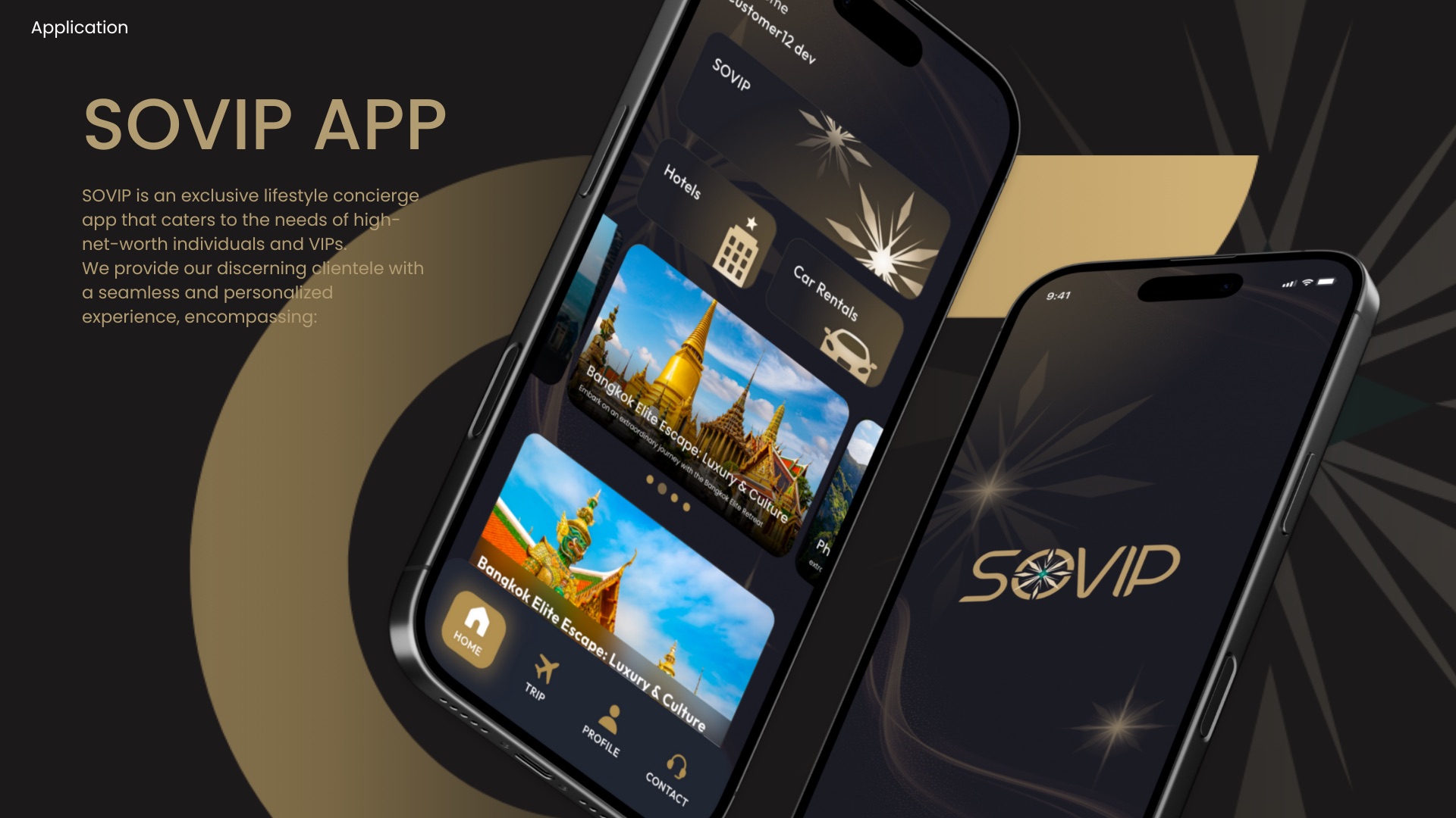 SOVIP App Visual System